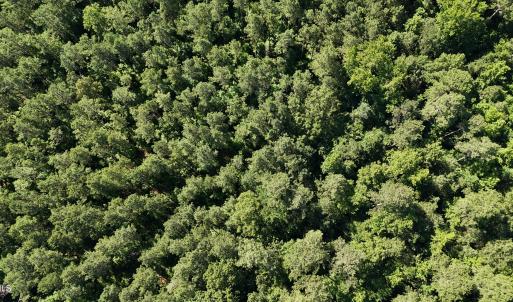 DJI_20250618100143_0006_D