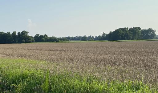 IMG_0454[1]