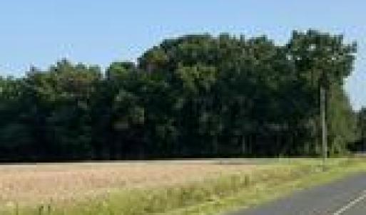 IMG_0428[1]