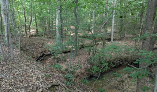 Creek meanders thru lot