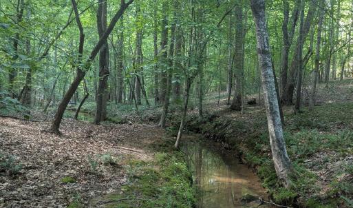 Creek