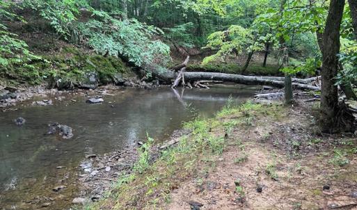 5500Hwy86Lot2_57842_7