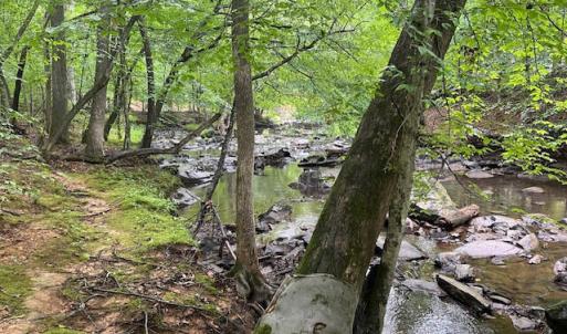 5500Hwy86Lot2_57842_9