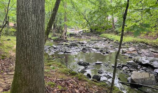 5500Hwy86Lot2_57842_10
