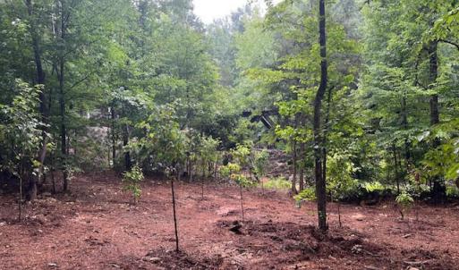 5500Hwy86Lot2_57842_15