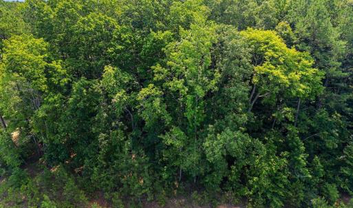 14-web-or-mls-Patmos_Way_14