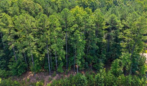 15-web-or-mls-Patmos_Way_15