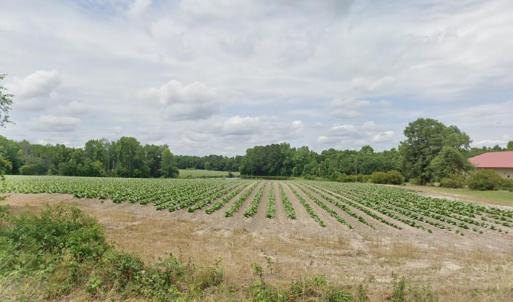 1050 Wagstaff Road