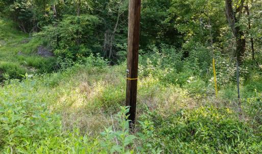 Survey Mark on poles