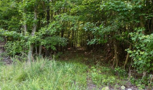 16-web-or-mls-DJI_20250630210443_0842_D