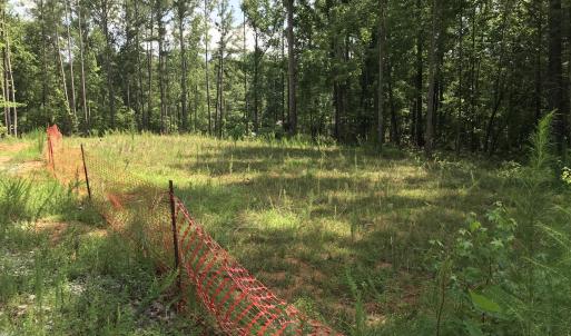 septic field