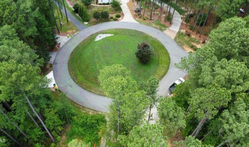 Stonecrop circle