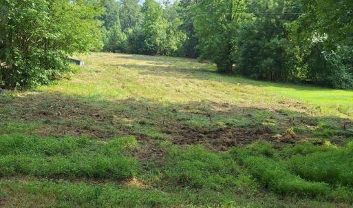 clean up to back line Jordan Lake land