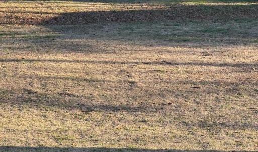 IMG_20240105_165155