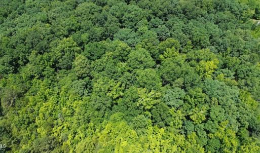 DJI_0036