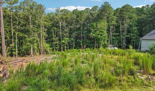 1-web-or-mls-Natchez Trce-S0907-001