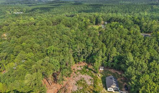 8-web-or-mls-Natchez Trce-S0907-008