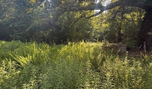 left of old home facing wooded section