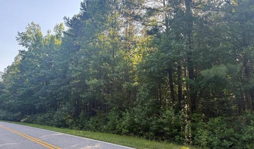 view of wooded section from road frontag