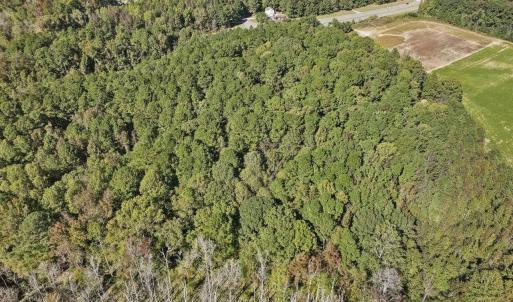 15-015-KarenCalhounRd-Chatham-Parcel-295