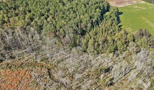 04-004-KarenCalhounRd-Chatham-Parcel-295