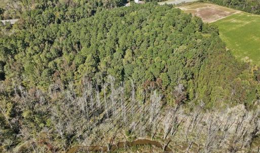 05-005-KarenCalhounRd-Chatham-Parcel-295