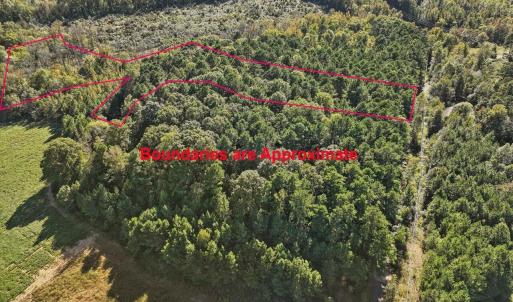 09-009-KarenCalhounRd-Chatham-Parcel-295