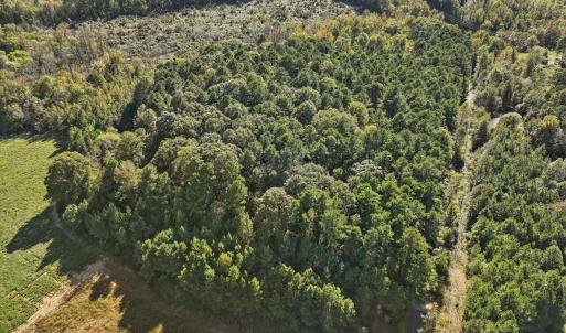 10-010-KarenCalhounRd-Chatham-Parcel-295