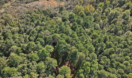 17-017-KarenCalhounRd-Chatham-Parcel-295