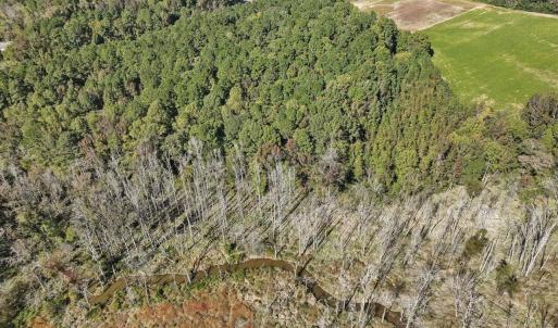 18-018-KarenCalhounRd-Chatham-Parcel-295