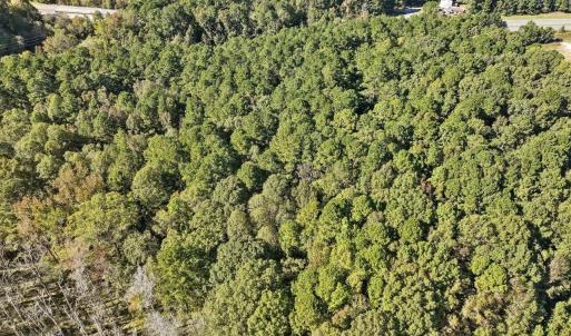 21-021-KarenCalhounRd-Chatham-Parcel-295