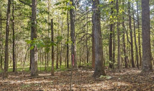 22-022-KarenCalhounRd-Chatham-Parcel-295