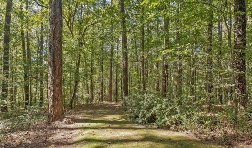 23-023-KarenCalhounRd-Chatham-Parcel-295