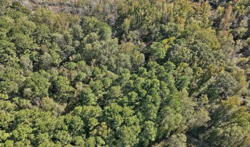 10-010-KarenCalhounRd-Chatham-Parcel-729