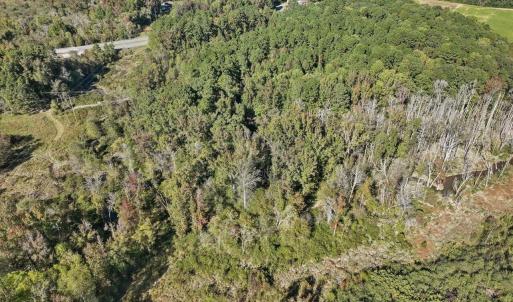 02-002-KarenCalhounRd-Chatham-Parcel-729