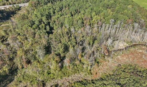 05-005-KarenCalhounRd-Chatham-Parcel-729