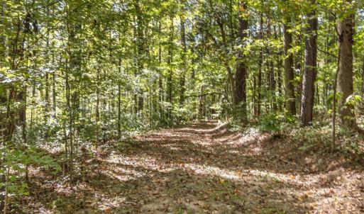 24-024-KarenCalhounRd-Chatham-Parcel-295