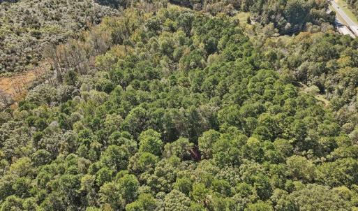 06-006-KarenCalhounRd-Chatham-Parcel-729