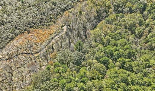 07-007-KarenCalhounRd-Chatham-Parcel-729