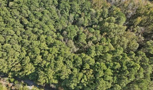 09-009-KarenCalhounRd-Chatham-Parcel-729