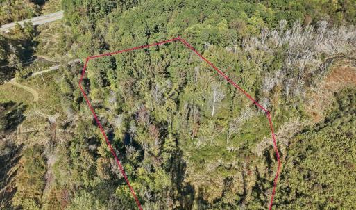 03-003-KarenCalhounRd-Chatham-Parcel-729