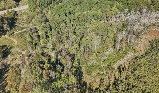 04-004-KarenCalhounRd-Chatham-Parcel-729