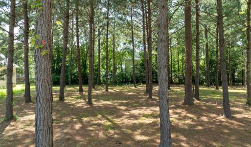 1124 Azalea Ln MLS-6