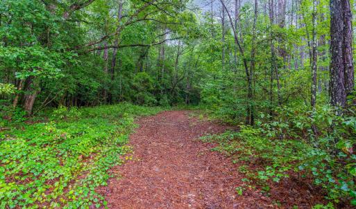 002_dsc00007-edit_758