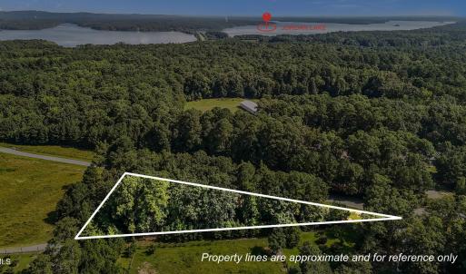 3-web-or-mls-DJI_20250714102410_0274_D_1