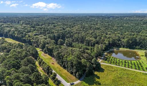 4-web-or-mls-DJI_20250714102239_0268_D