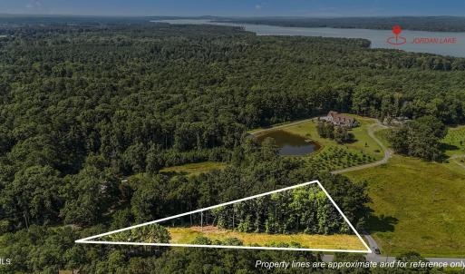 2-web-or-mls-DJI_20250714102322_0270_D_1