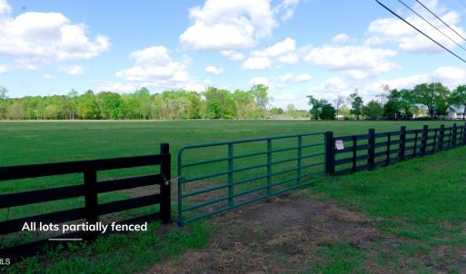 Cameron NC Ground Still06