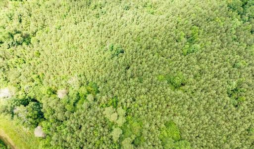 12-012-588RufusCBurnetteDr-Land-20250611