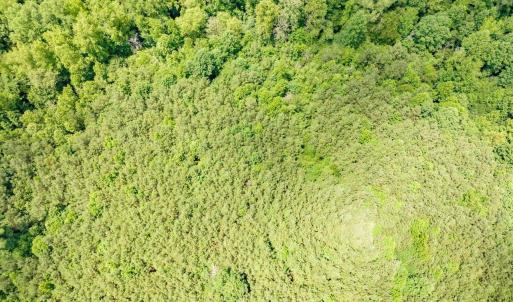 14-014-588RufusCBurnetteDr-Land-20250611